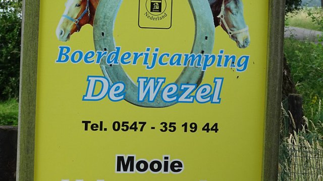 Singels en essen (zondag 10 juni 2018)